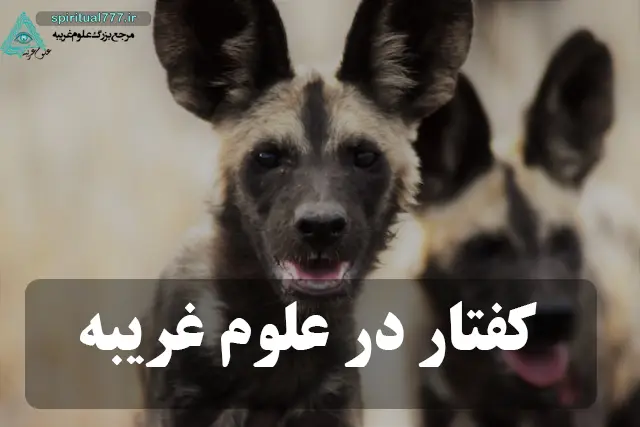 عکس کفتار با عکس نوشته کفتار در علوم غریبه