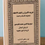 عکس جلد کتاب کتاب خزینه الاسرار و کشف الاخفاء مجموعه دعا و طلسم