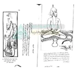 عکس صفحه 195-کتاب اسرار پنهانی مکتب یوگ