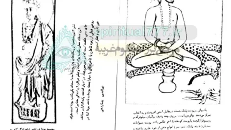 عکس صفحه 195-کتاب اسرار پنهانی مکتب یوگ