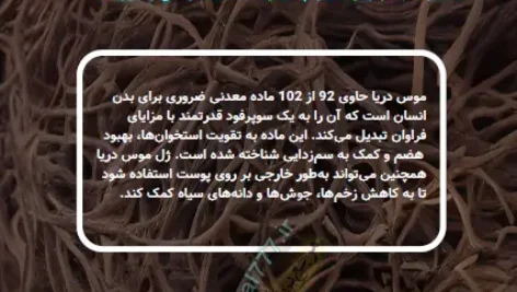 صفحه ای از کتاب