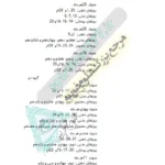 صفحه کتاب 2
