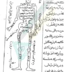 طلسم مرگ کتاب بحر العجائب