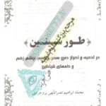 صفحه اول کتاب طور و سینین