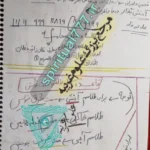 طلسم محبت با ماهی برای هر 4 طبع