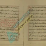 صفحه کتاب از کتاب سحر العیون