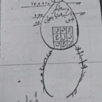 طلسم با فلفل ضیابری